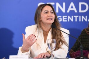 Rojas Decut presentó en el Senado el modelo de Misiones para los mercados de carbono imagen-71