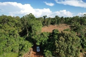 Empresario forestal denuncia nueva usurpación de sus tierras en Garuhapé y acusa a EMIPA de impulsar a los mbya a la “toma masiva” imagen-7