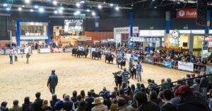 La Expo Angus de Otoño 2026 ya palpita una semana a pura genética, negocios y remates en Palermo. imagen-2