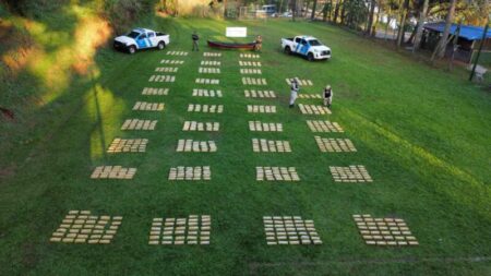 Golpe histórico al narcotráfico en Misiones: Prefectura incautó más de una tonelada de droga en el río Paraná imagen-15