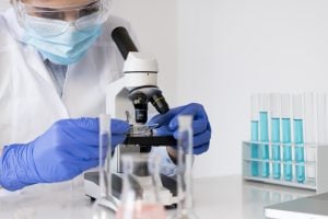 En Argentina nació el primer cerdo clonado para futuros trasplantes de órganos a humanos imagen-8