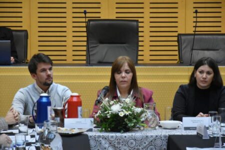 La Legislatura fue sede de la Asamblea Anual del Consejo Provincial de Discapacidad imagen-26