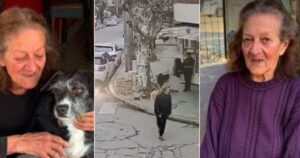 Desesperada búsqueda de una mujer de 84 años: hace 14 días salió de su casa en San Justo y nunca regresó Desesperada búsqueda de una mujer de 84 años: hace 14 días salió de su casa en San Justo y nunca regresó imagen-4