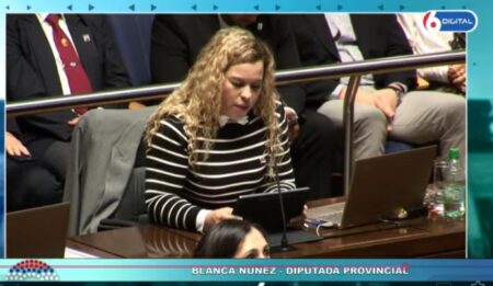 Misiones es pionera en la región con la sanción de la ley «MetalMisión» para impulsar la industria metalmecánica imagen-16