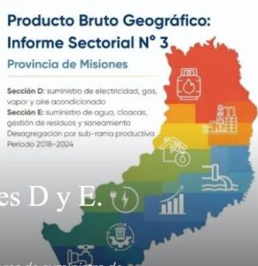 Misiones (2018-2024): El suministro de electricidad y otros servicios creció un 7,7%, por debajo del promedio del Producto Bruto Geográfico provincial imagen-1