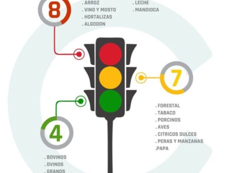 Semáforo de Coninagro: la Yerba Mate y la Mandioca siguen en rojo imagen-4