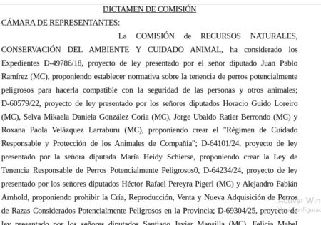 Perros potencialmente peligrosos: el proyecto que busca ordenar una deuda pendiente en Misiones avanzó en comisión imagen-18