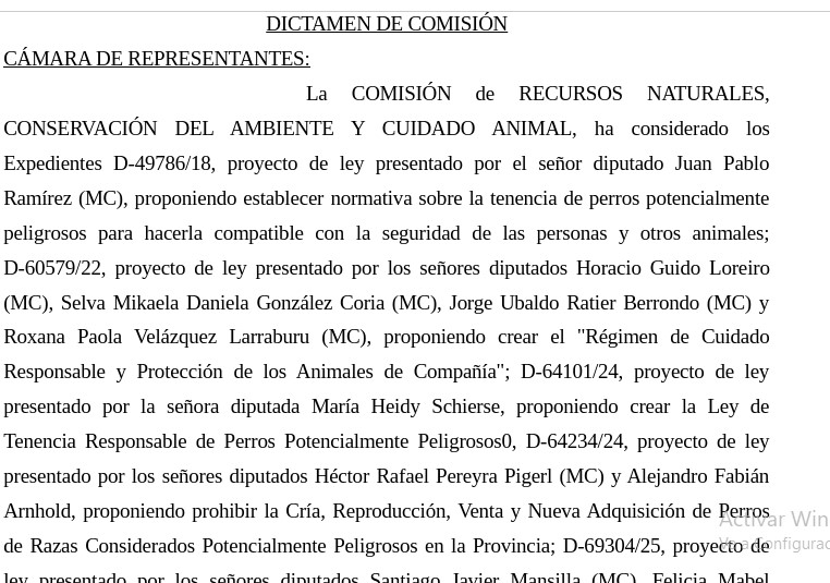 Perros potencialmente peligrosos: el proyecto que busca ordenar una deuda pendiente en Misiones avanzó en comisión imagen-5