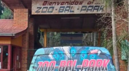 La Justicia frenó la reapertura del ex zoológico de Montecarlo y puso a los animales bajo tutela judicial imagen-8