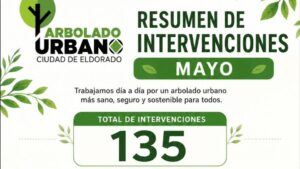 Eldorado fortalece el mantenimiento del arbolado urbano: realizaron 135 intervenciones durante mayo imagen-73