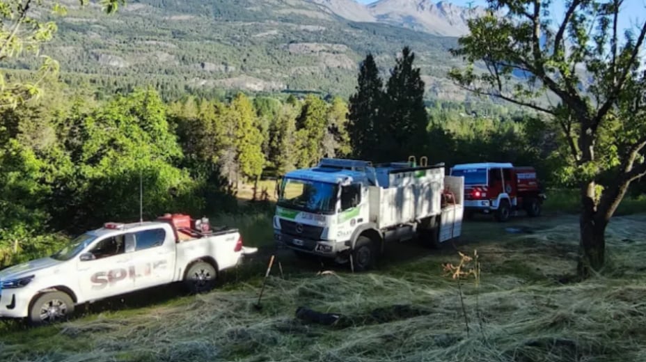 Un hombre murió aplastado por un árbol mientras cortaba leña con una motosierra Un hombre murió aplastado por un árbol mientras cortaba leña con una motosierra imagen-5