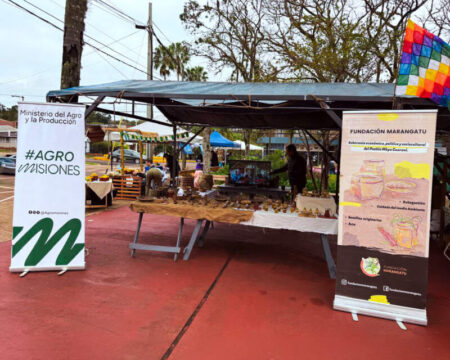 La miel de yateí se consolida en Misiones como producción sustentable que une monte, biodiversidad y cultura guaraní imagen-18