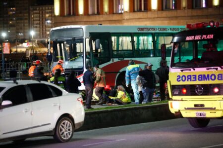 Qué se sabe del accidente en Mar del Plata: un colectivo atropelló a siete personas y una murió Qué se sabe del accidente en Mar del Plata: un colectivo atropelló a siete personas y una murió imagen-8