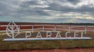 Paraguay | Paracel prevé el inicio de la producción de su planta de celulosa para 2030 imagen-8