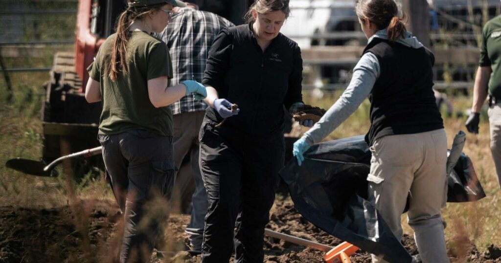 Macabro hallazgo en California: encuentran los cuerpos de 117 perros, muchos con agujeros de bala, en un santuario "sin sacrificio" en la localidad de Fortuna imagen-94