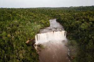 Paraguay | La UNESCO incorporó la Reserva de Biosfera Sur del Alto Paraná a su red mundial, consolidando un corredor estratégico para la conservación Paraguay | La UNESCO incorporó la Reserva de Biosfera Sur del Alto Paraná a su red mundial, consolidando un corredor estratégico para la conservación imagen-8