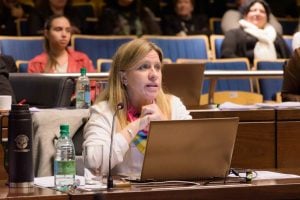 La UCR reactivó un proyecto que busca terminar con las reelecciones indefinidas en los municipios La UCR reactivó un proyecto que busca terminar con las reelecciones indefinidas en los municipios imagen-7