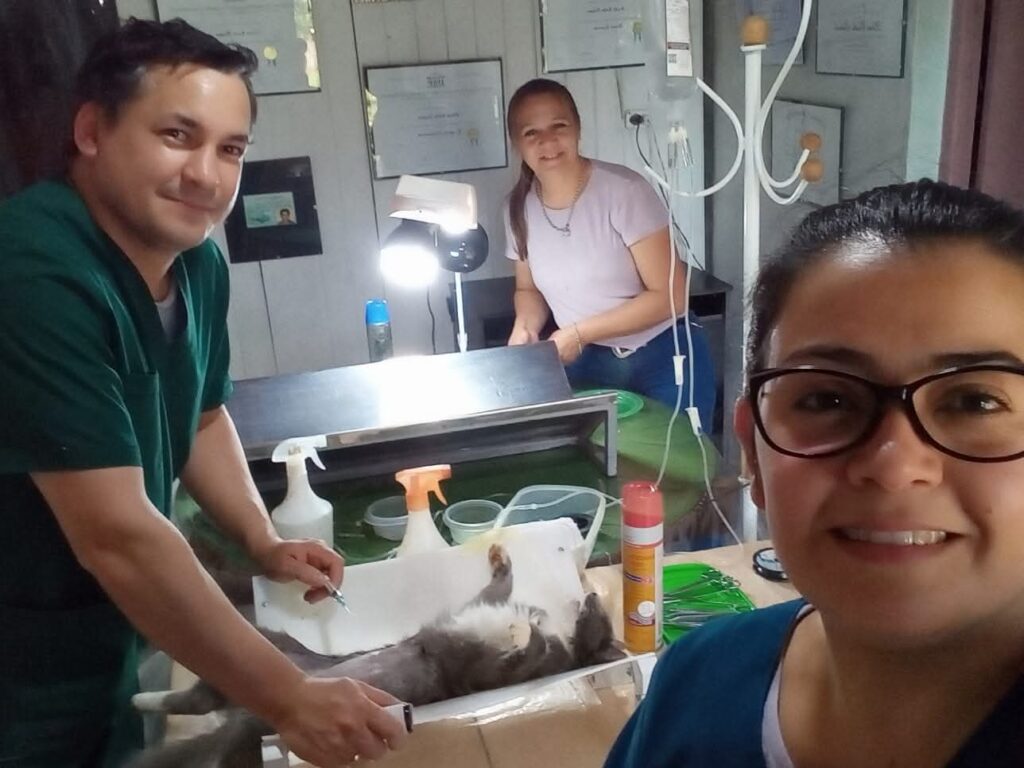 Destacan la importancia en la  continuidad del Programa Municipal de Castraciones y su impacto en la comunidad imagen-4