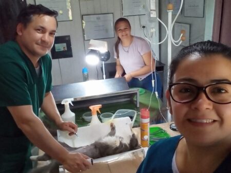 Destacan la importancia en la  continuidad del Programa Municipal de Castraciones y su impacto en la comunidad imagen-63