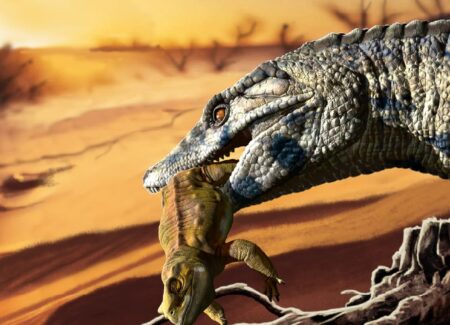 Adaptado a tierra firme: identifican en la Patagonia una nueva especie fósil de un superdepredador del Cretácico imagen-8