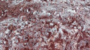 Un fenómeno rarísimo sorprendió en Misiones: aparecieron “agujas de hielo” en Oberá y Alem imagen-1