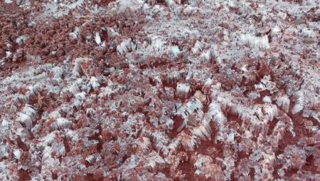 Un fenómeno rarísimo sorprendió en Misiones: aparecieron “agujas de hielo” en Oberá y Alem imagen-4