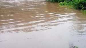 Volvieron a cerrar el acceso al Parque Provincial Moconá por la crecida del arroyo Yabotí imagen-2