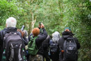 Santa Ana será sede de Volar 2026, un encuentro estratégico para proyectar el ecoturismo misionero a nivel internacional imagen-4