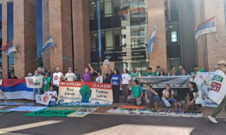 Ambientalistas piden audiencia con Passalacqua por intentos de reflotar Corpus imagen-8