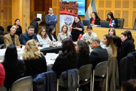 Romero Spinelli llamó a fortalecer el trabajo conjunto para defender los derechos de las personas con discapacidad imagen-16