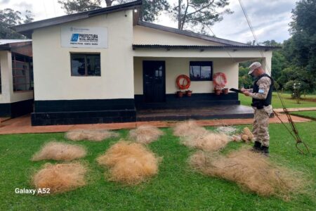 Procedimiento contra la pesca furtiva en Santa María Procedimiento contra la pesca furtiva en Santa María imagen-8