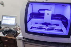 El laboratorio más importante del NEA está en Misiones y ahora puede detectar tuberculosis y virus respiratorios en menos de dos horas imagen-1
