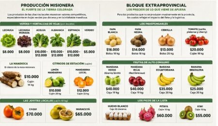 Comodidad, variedad y ahorro: las ventajas de abastecerse en el Mercado Central de Misiones imagen-14