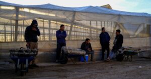 Tras años de sequía, un país reorganiza su política hídrica con plantas de desalinización, transferencia entre cuencas y nuevas represas, en una estrategia que conecta agua, energía y agricultura imagen-4