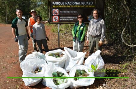 Día del Medio Ambiente: instituciones y empresas se unen para cuidar el entorno del Parque Nacional Día del Medio Ambiente: instituciones y empresas se unen para cuidar el entorno del Parque Nacional imagen-117