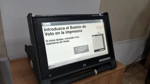 Paraguay vota: más de 4,6 millones de electores eligen candidatos a intendentes en 263 municipios imagen-8