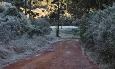Mínimas bajo cero y heladas desde la próxima semana en Misiones Mínimas bajo cero y heladas desde la próxima semana en Misiones imagen-11