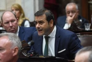 Herrera Ahuad sobre el proyecto para reducir el IVA a la fécula de mandioca: “Queremos que quienes tienen intolerancia al gluten accedan a una alimentación sana y saludable, pagando un precio razonable” imagen-10