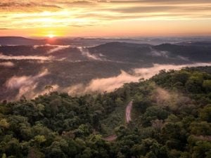 Misiones busca blindar su selva con un escudo satelital de avanzada imagen-4