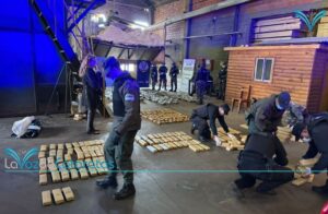 Incineraron una tonelada de marihuana valuada en más de 500 millones de pesos imagen-72