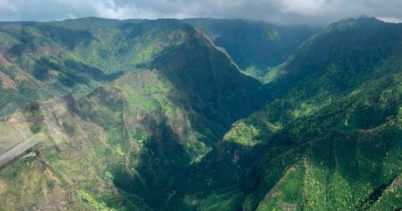 Las rocas del tamaño de una manzana, situadas a cuatro kilómetros bajo el océano Pacífico central, contienen más cobalto y manganeso que todos los depósitos terrestres conocidos juntos, y las compañías mineras compiten ahora por extraerlos de uno de los ecosistemas menos explorados de la Tierra imagen-6