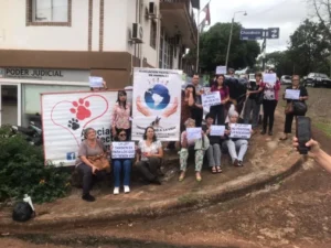Proteccionistas impugnaron el informe policial sobre los perros dados en adopción en Guaraní y pidieron un peritaje veterinario oficial imagen-75