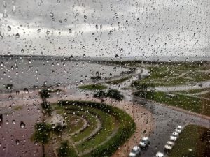 Misiones | Viernes inestable con lluvias, tormentas aisladas y fuerte descenso de la temperatura Misiones | Viernes inestable con lluvias, tormentas aisladas y fuerte descenso de la temperatura imagen-9