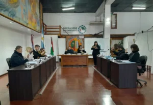 El Concejo de Oberá aprobó la convocatoria a Audiencia Pública para evaluar la tarifa del transporte urbano de pasajeros El Concejo de Oberá aprobó la convocatoria a Audiencia Pública para evaluar la tarifa del transporte urbano de pasajeros imagen-2