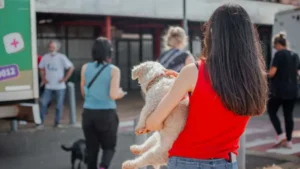 Imusa: aumentaron los ingresos de animales y promueven la adopción responsable imagen-1