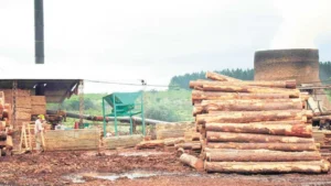 Según Amayadap, sin obra pública no se recuperará el mercado interno imagen-1