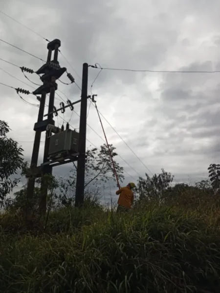 Energía de Misiones moviliza equipos al norte para reparar los daños del temporal imagen-7