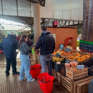 Comerciantes registran menos ventas de frutas y verduras y destacan las ofertas para impulsar ventas imagen-2