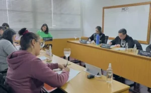 Montecarlo: impulsan la instalación de la “Carpa de la Calma” en eventos masivos imagen-2