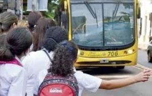 Afirman que los costos agravan la situación del transporte en las provincias Afirman que los costos agravan la situación del transporte en las provincias imagen-2